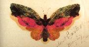 Albert Bierstadt Butterfly China oil painting reproduction